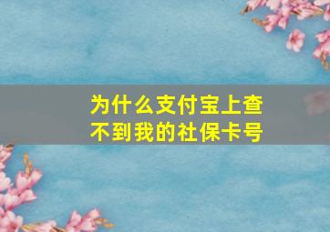 为什么支付宝上查不到我的社保卡号