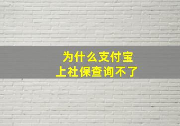 为什么支付宝上社保查询不了