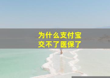 为什么支付宝交不了医保了