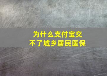 为什么支付宝交不了城乡居民医保