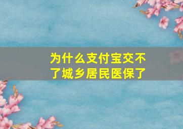 为什么支付宝交不了城乡居民医保了