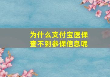 为什么支付宝医保查不到参保信息呢