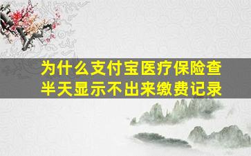 为什么支付宝医疗保险查半天显示不出来缴费记录