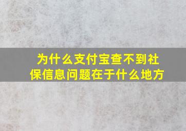 为什么支付宝查不到社保信息问题在于什么地方