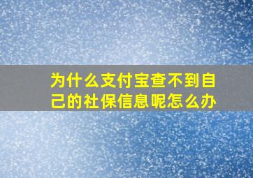 为什么支付宝查不到自己的社保信息呢怎么办