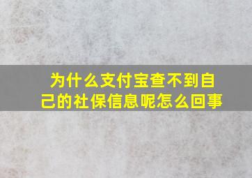 为什么支付宝查不到自己的社保信息呢怎么回事