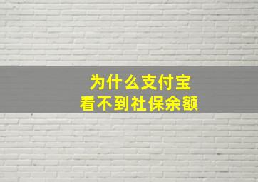 为什么支付宝看不到社保余额