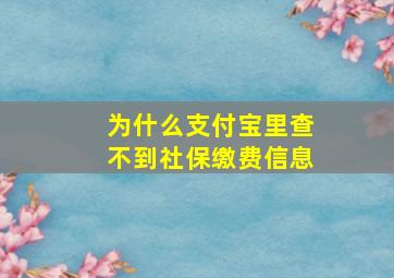 为什么支付宝里查不到社保缴费信息