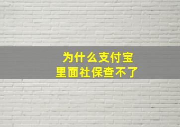 为什么支付宝里面社保查不了