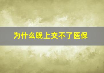 为什么晚上交不了医保