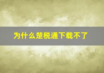 为什么楚税通下载不了