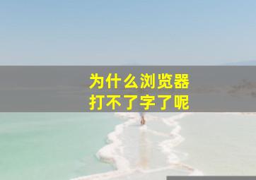 为什么浏览器打不了字了呢