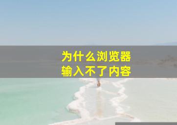 为什么浏览器输入不了内容