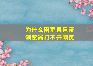 为什么用苹果自带浏览器打不开网页