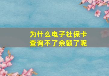 为什么电子社保卡查询不了余额了呢