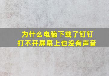 为什么电脑下载了钉钉打不开屏幕上也没有声音