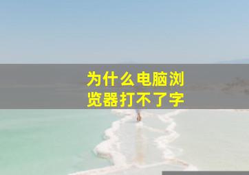 为什么电脑浏览器打不了字