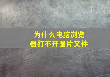 为什么电脑浏览器打不开图片文件