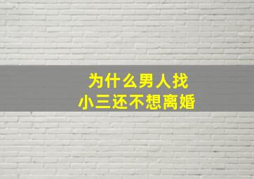 为什么男人找小三还不想离婚