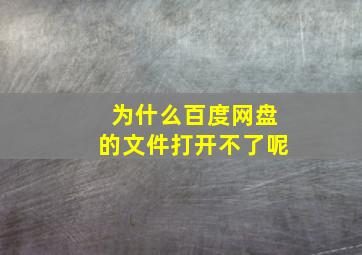 为什么百度网盘的文件打开不了呢