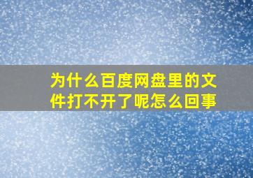 为什么百度网盘里的文件打不开了呢怎么回事