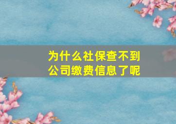 为什么社保查不到公司缴费信息了呢