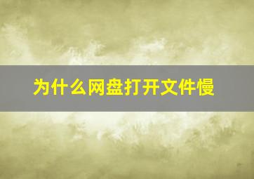 为什么网盘打开文件慢