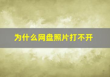 为什么网盘照片打不开