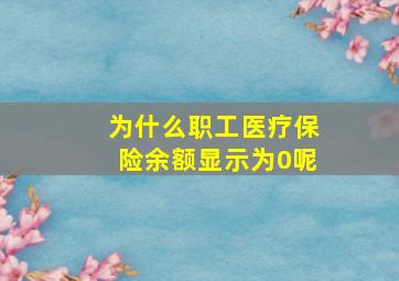 为什么职工医疗保险余额显示为0呢