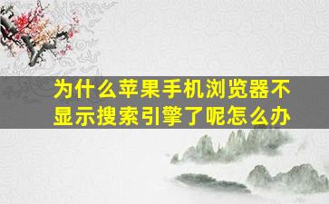 为什么苹果手机浏览器不显示搜索引擎了呢怎么办