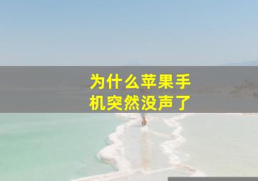 为什么苹果手机突然没声了