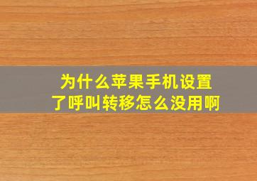 为什么苹果手机设置了呼叫转移怎么没用啊