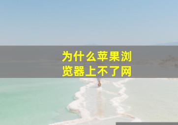 为什么苹果浏览器上不了网