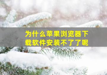 为什么苹果浏览器下载软件安装不了了呢