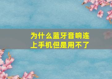 为什么蓝牙音响连上手机但是用不了