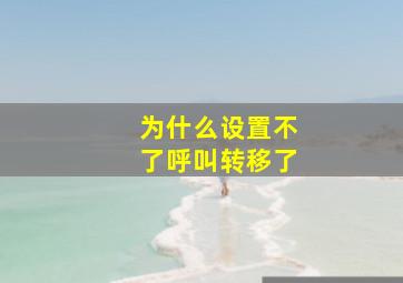 为什么设置不了呼叫转移了