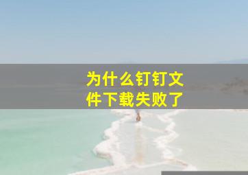 为什么钉钉文件下载失败了