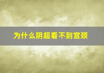 为什么阴超看不到宫颈