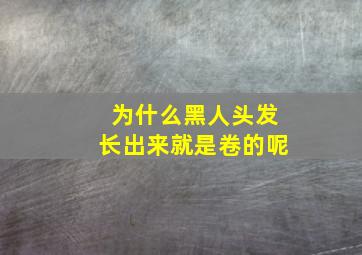 为什么黑人头发长出来就是卷的呢