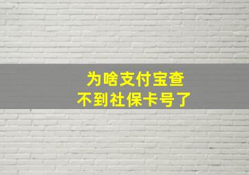 为啥支付宝查不到社保卡号了