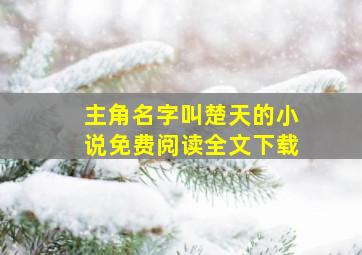 主角名字叫楚天的小说免费阅读全文下载