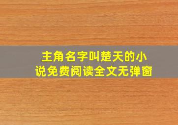 主角名字叫楚天的小说免费阅读全文无弹窗