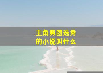 主角男团选秀的小说叫什么