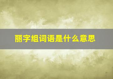 丽字组词语是什么意思