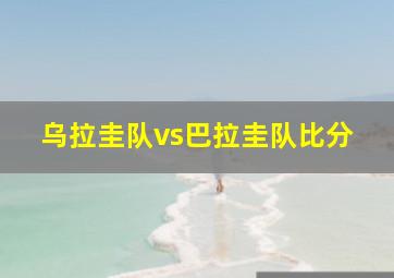 乌拉圭队vs巴拉圭队比分