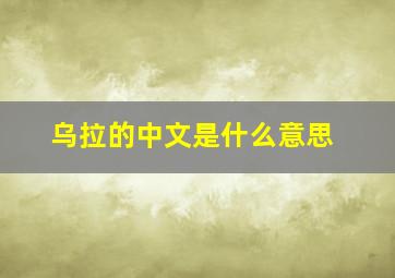 乌拉的中文是什么意思