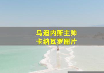 乌迪内斯主帅卡纳瓦罗图片