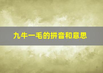 九牛一毛的拼音和意思