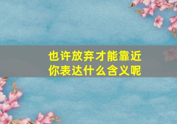 也许放弃才能靠近你表达什么含义呢