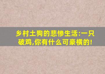 乡村土狗的悲惨生活:一只破鸡,你有什么可豪横的!